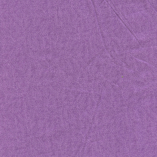 Jewel Tones - Violet Ferns Jewel Tones - Violet Ferns