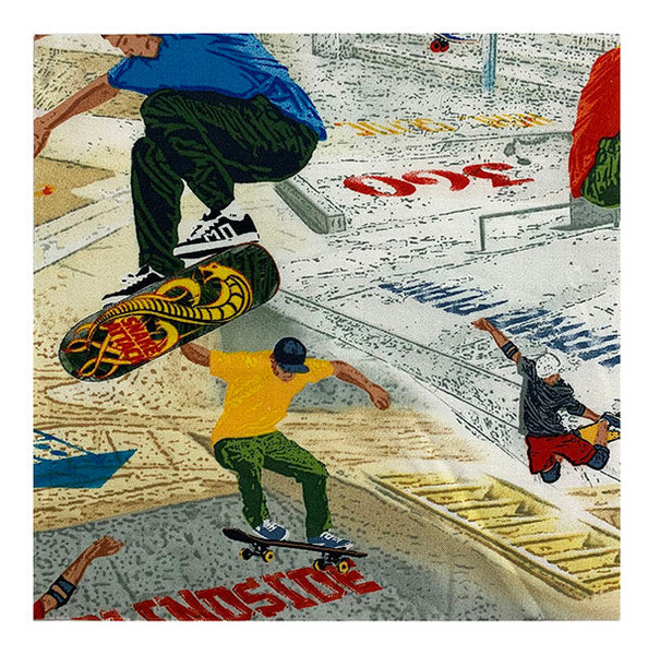 Skateboarding Scenic - 8 1/2" Sq