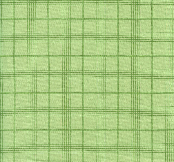 Peter Rabbit and Friends Fern Green Plaid by Riley Blake Peter Rabbit and Friends Fern Green Plaid by Riley Blake