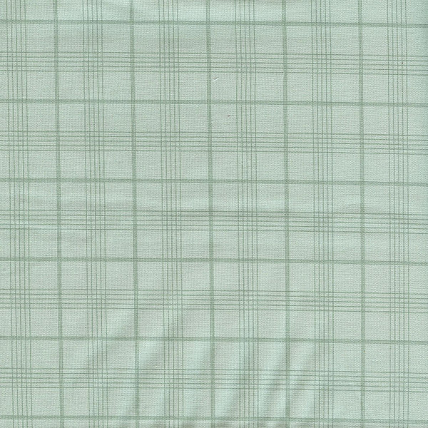 Peter Rabbit and Friends Lt. Teal Blue Plaid by Riley Blake