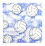 Volleyballs in the Sky 8 1/2" sq