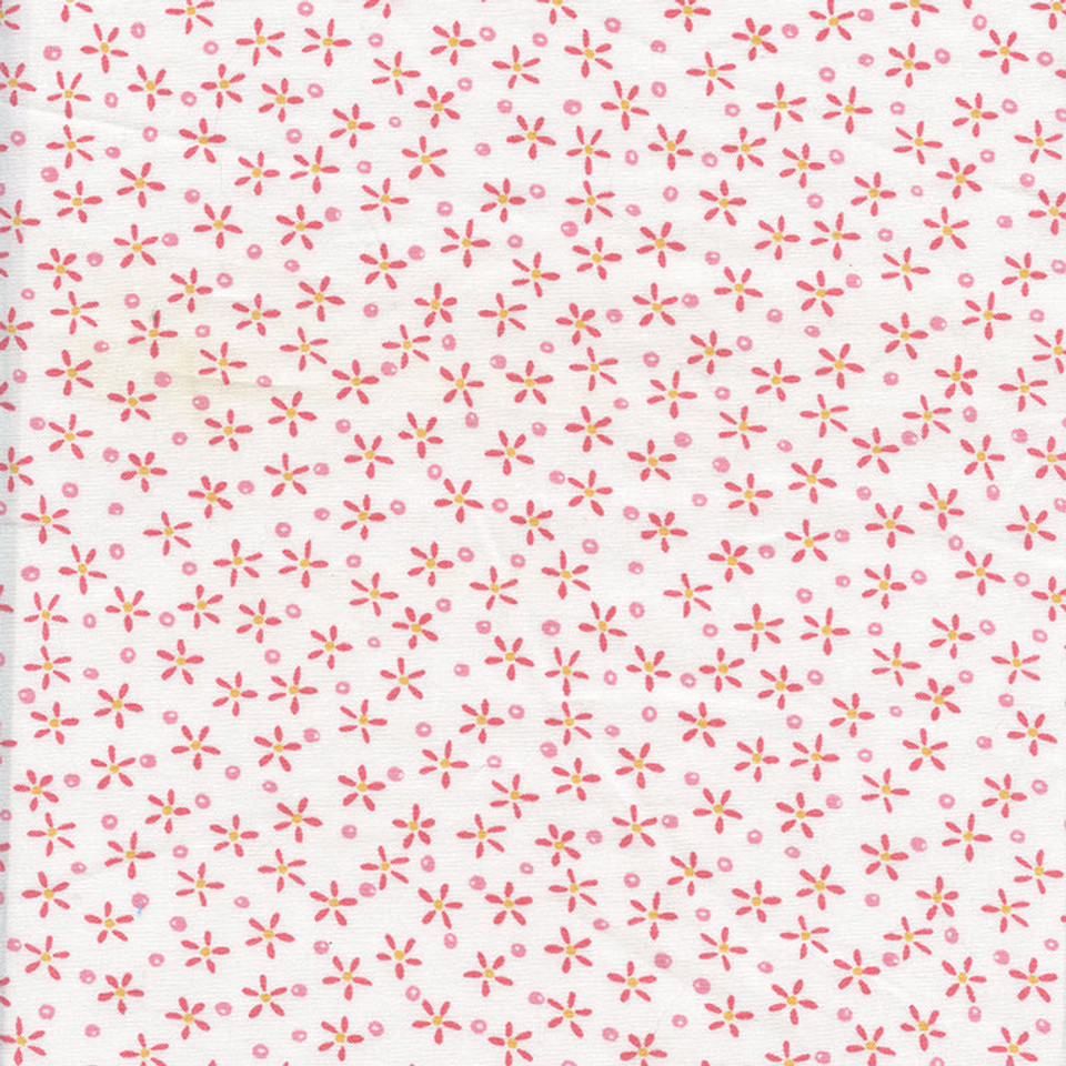 Daisy Kingdom Daisy Ditzy Flowers White