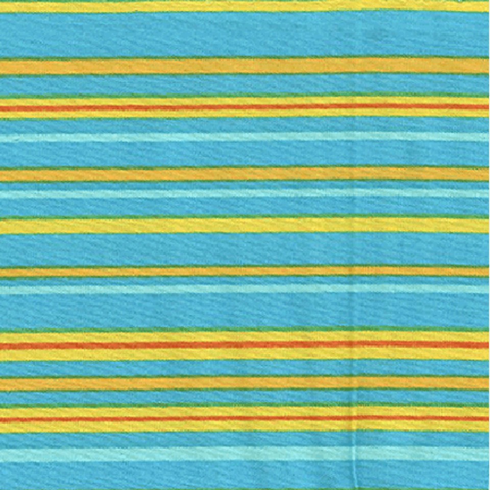 Baby Safari II Turquoise Stripe