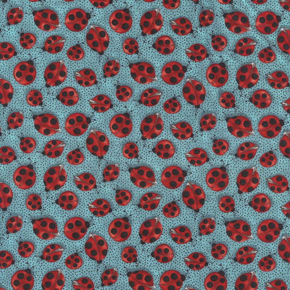 Ladybugs on Aqua Ladybugs on Aqua