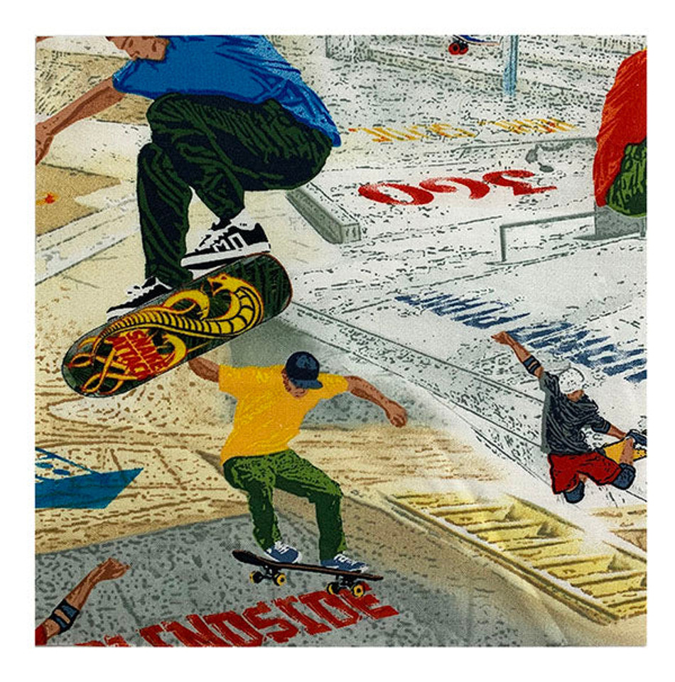 Skateboarding Scenic - 8 1/2" Sq