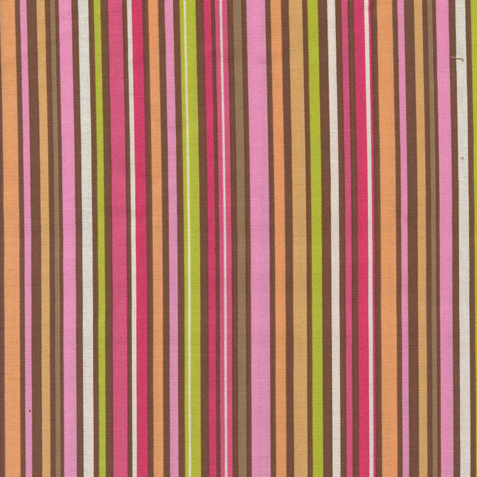 A Fun Day in the Jungle Multi Stripe Pastel