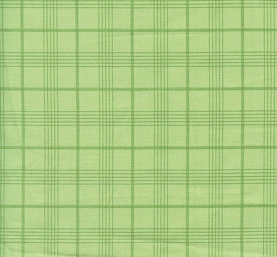 Peter Rabbit and Friends Fern Green Plaid by Riley Blake Peter Rabbit and Friends Fern Green Plaid by Riley Blake
