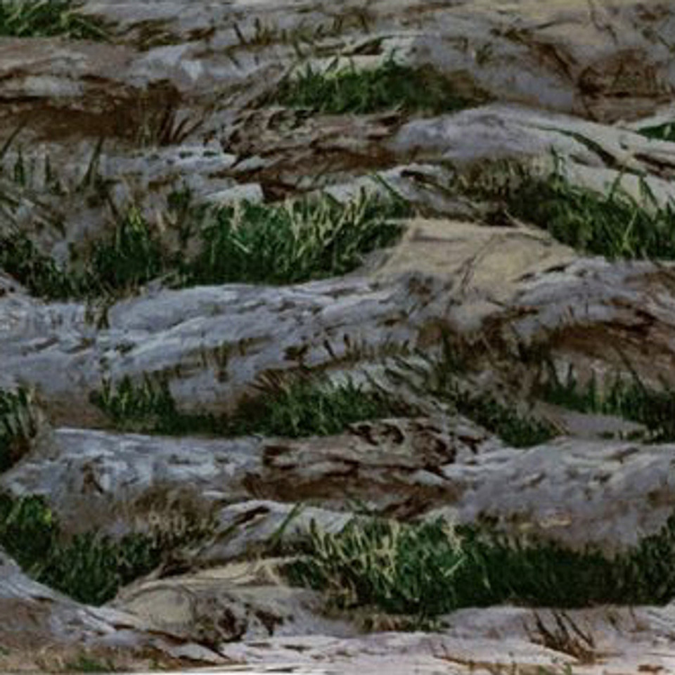 A Change of Scenery Rocky Landscape Summer Flannel