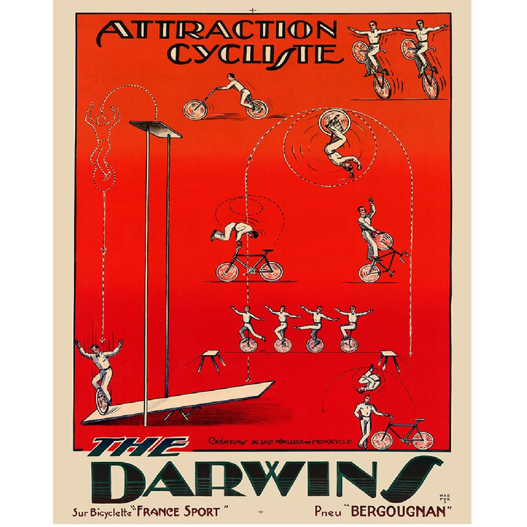 The Darwins Vintage Cycling Art Bicycle Poster