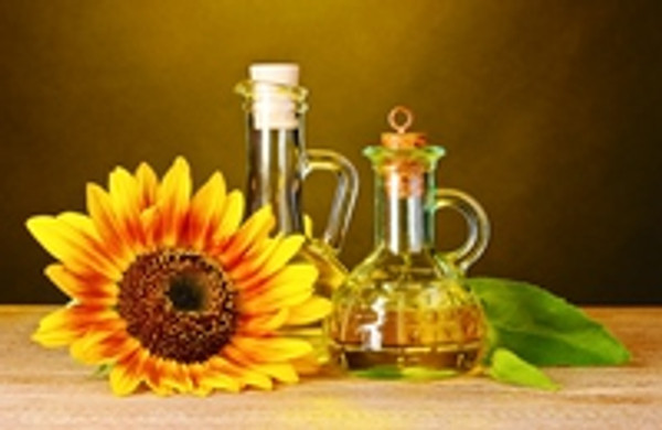 Why Sunflower Oil Is So Good For Your Hair Why Sunflower Oil Is So Good For Your Hair
