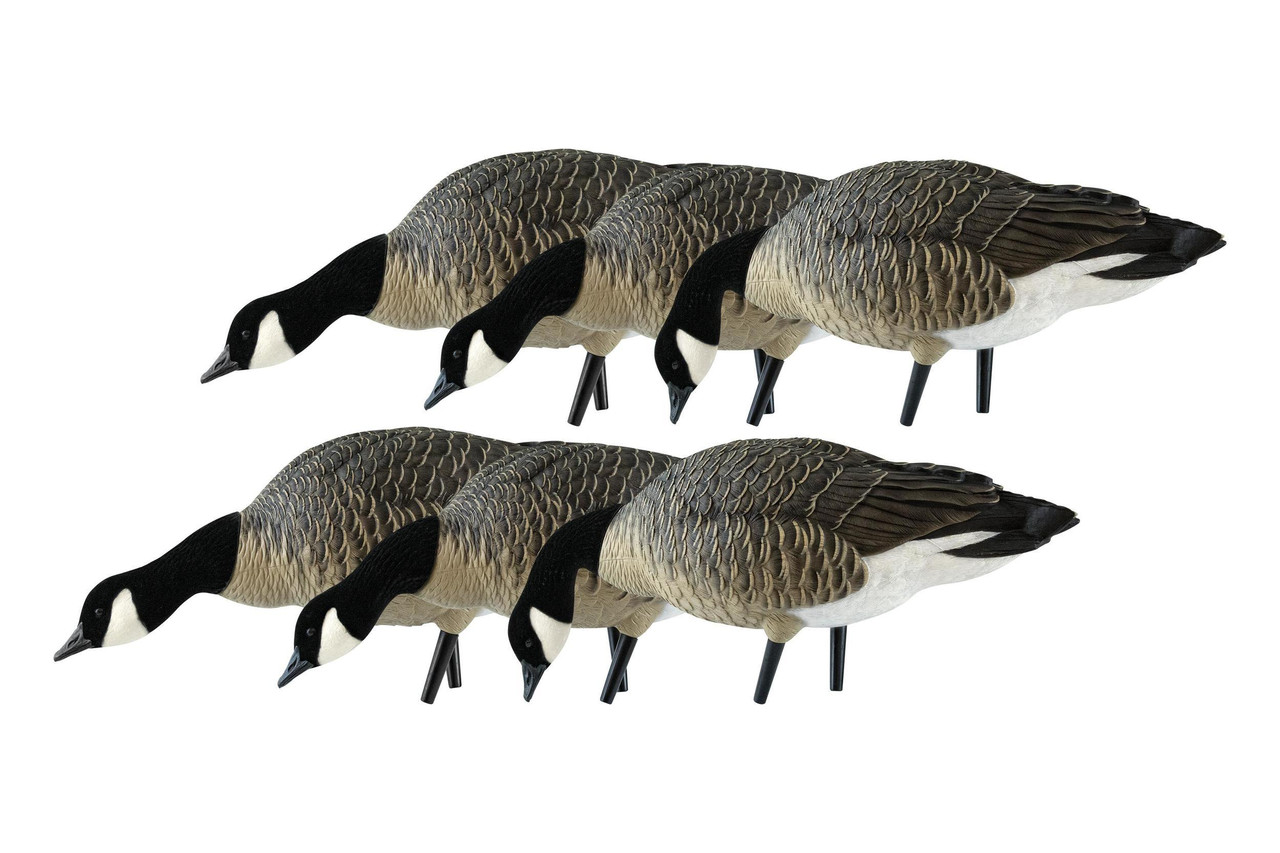 Avian-X AXP Lessers Feeder