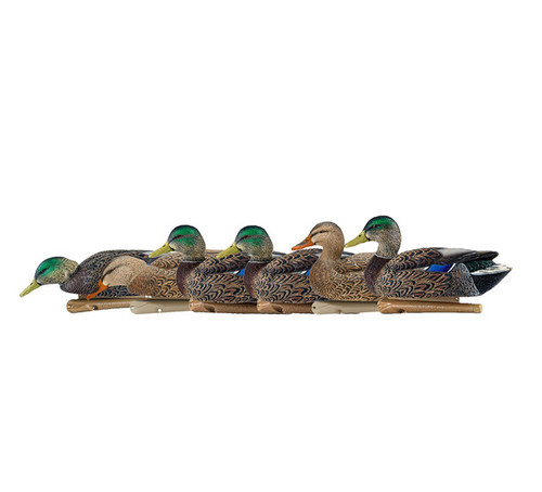 Topflight Early Season Mallards Topflight Early Season Mallards
