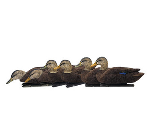 Topflight Black Ducks Topflight Black Ducks