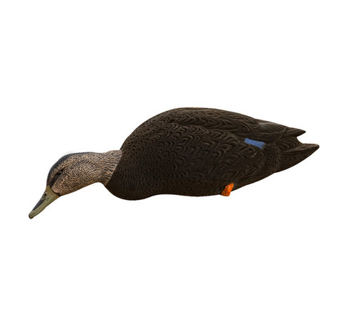 AXF Flocked Full Body Black Ducks: Fusion Pack AXF Flocked Full Body Black Ducks: Fusion Pack