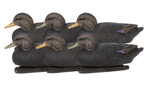 Black Duck Floater Decoys Black Duck Floater Decoys