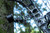 AEGIS™ Pro Series AEGIS™ Pro Series