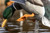Powerflight Mallard - Spinning Wing Duck Powerflight Mallard - Spinning Wing Duck