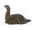 LCD Laydown Hen LCD Laydown Hen