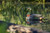 Topflight Green-Winged Teal