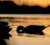 Topflight Pintails Topflight Pintails