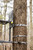 CRUZR Tree Bracket CRUZR Tree Bracket