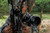 MAGNITUDE™ Series MAGNITUDE™ Series