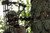 MAGNITUDE™ Series MAGNITUDE™ Series