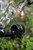 MAGNITUDE™ Series MAGNITUDE™ Series