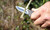 Bushcrafter Mini 6.75" Folding Knife Bushcrafter Mini 6.75" Folding Knife