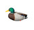 AXP Full Body Mallards: Fusion Pack AXP Full Body Mallards: Fusion Pack