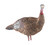 LCD Lookout Hen LCD Lookout Hen