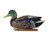 Topflight Early Season Mallards Topflight Early Season Mallards