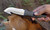 5 Piece Essential Hunting Kit 5 Piece Essential Hunting Kit