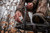 LIMB GRIP Bow Holder LIMB GRIP Bow Holder