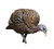 LCD Feeder Hen LCD Feeder Hen
