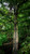 Quick-Stick Quick-Stick