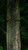 Quick-Stick Quick-Stick