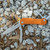 Pocket Block Orange 6.25" Folding Knife Pocket Block Orange 6.25" Folding Knife