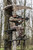 Helium Kickback LVL Hang-On Helium Kickback LVL Hang-On