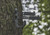Tactical Trio Tree Hook Tactical Trio Tree Hook