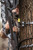 Cruzr  Hang-On Cruzr  Hang-On