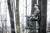 Cruzr  Hang-On Cruzr  Hang-On