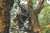 Cruzr  Hang-On Cruzr  Hang-On