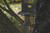 Cruzr  Hang-On Cruzr  Hang-On