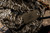 K2000 10X42 LRF K2000 10X42 LRF