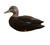 AXF Flocked Full Body Black Ducks: Fusion Pack AXF Flocked Full Body Black Ducks: Fusion Pack