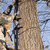 The Pro Climbing Sticks