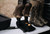 Boot/Glove Dryer - Collapsible Boot/Glove Dryer - Collapsible