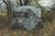 Banshee Wide Bottom Extreme Banshee Wide Bottom Extreme