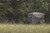 Hawk Reveal Ground Blind Interior Image (open) Hawk Reveal Ground Blind Interior Image (open)